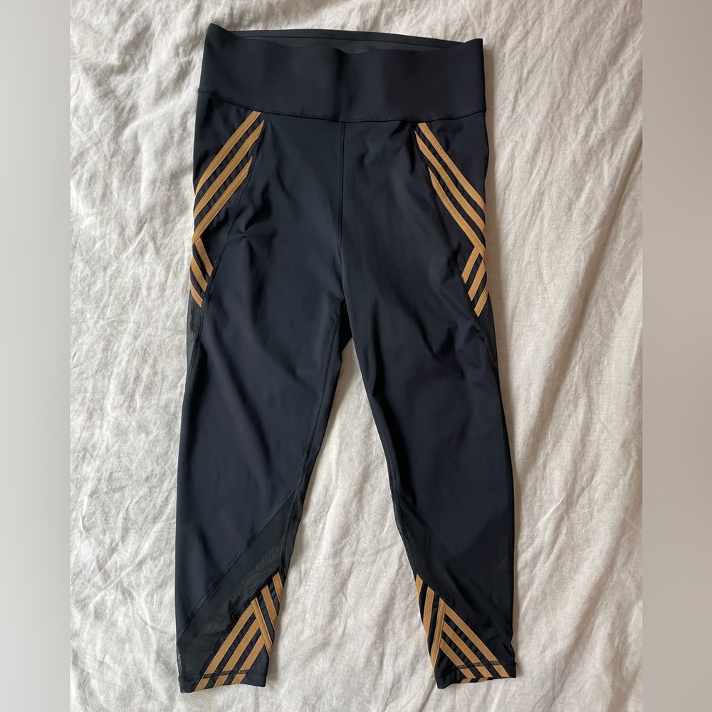Ivy Park Tights